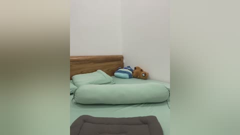 Media: Video of a cozy, minimalist bedroom corner featuring a wooden headboard, a light green bed with a plush bear toy and striped pillow, and a dark grey dog bed in the foreground.