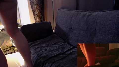 Media: Video of a dark blue checkered cushioned armchair in a dimly lit room. The chair is partially covered with a light-colored blanket. In the background, a person's bare legs and part of a bed with green sheets are visible.