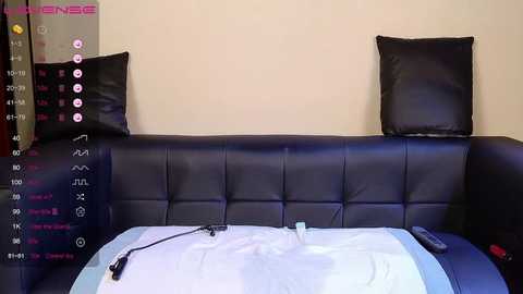 Media: Video of a modern bedroom with a black leather couch, two black pillows, white bed sheets, and a remote control on the bed, against a beige wall.