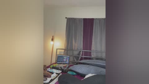 Media: A video of a modestly furnished bedroom with a metal bed, gray curtains, a laptop on a desk, and a floor lamp with a dim light. The room is sparsely decorated with minimalistic decor.