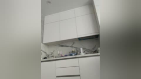 Media: A video of a minimalist kitchen with white cabinets, a granite countertop, and a small sink. The background is plain white, with a few decorative items on the counter. The image is slightly blurred.