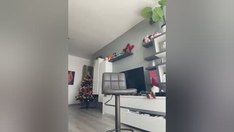 Media: Video of a modern, minimalist living room with a gray sectional sofa, a large flat-screen TV, a white coffee table, a Christmas tree, and a potted plant, all set against gray walls.