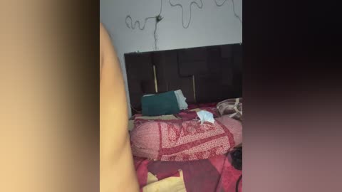 Media: Video of a messy bedroom with a bed covered in red and beige patterned blankets. A small white cat sits on the bed. The background shows a dark wooden headboard and a white wall with a black wire drawing.