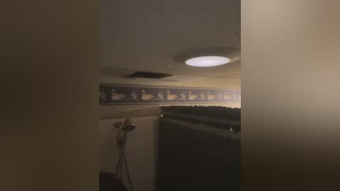 Media: A dimly lit video shows a ceiling with a circular light, beige walls, a decorative border, and a black door on the right. The left wall has a telephone and a brown object.