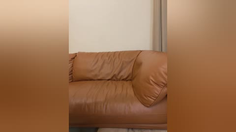 Media: Video of a beige leather couch with two matching pillows, positioned against a plain beige wall. The couch's texture appears smooth and slightly worn. The image is blurred, with no discernible background details.