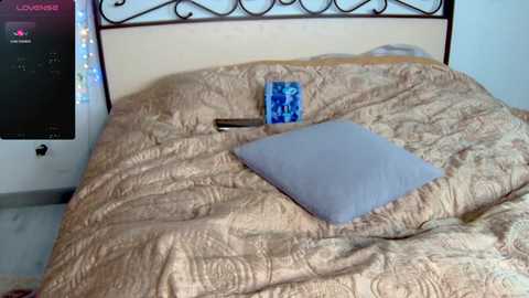 Media: Video of a beige, quilted bedspread with a blue pillow, a decorative wooden box, and a \"LOVE\" sign on a white wall with a black metal headboard.