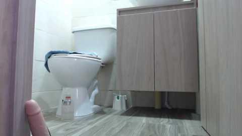 Media: A video of a compact, modern bathroom with a white toilet, beige cabinet, and light wood flooring. The image captures a human hand holding a penis, indicating a sexual context.