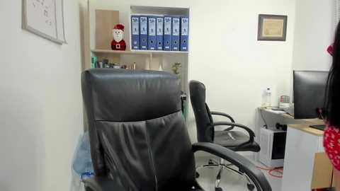 Media: Video of a tidy office with two black leather chairs, a desk, blue file folders, a red Santa decoration, a framed certificate, and a monitor, against white walls.