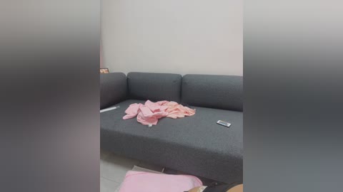 Media: A video of a messy living room with a gray fabric couch, a pink blanket, scattered papers, and a remote control. The walls are white, creating a stark contrast with the muted tones of the furniture.