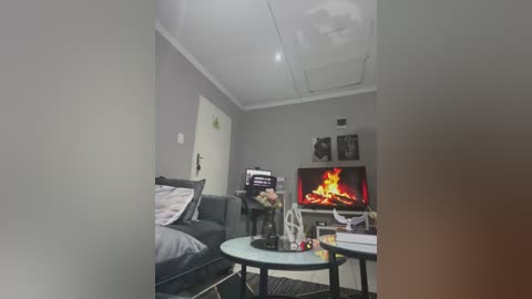 Media: Video of a modern living room with a grey couch, glass coffee table, and a cozy fireplace emitting flames. The walls are grey, and the ceiling features recessed lighting.