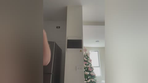 Media: Video of a narrow hallway with a large, dark, metallic-framed mirror on the left, a white wall with a floral wreath on the right, and a glimpse of a kitchen with white cabinets and a window.