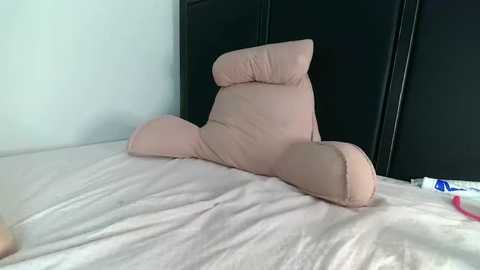 Media: Video of a beige, pillow-shaped stuffed animal with a soft, plush texture sitting on a white bedspread in a minimalist, modern bedroom with black wooden headboard.