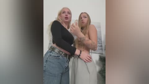 Media: A video featuring two women; one blonde with a black crop top and jeans, the other blonde with a tattooed arm, nude, gesturing in a room with a beach-themed picture.