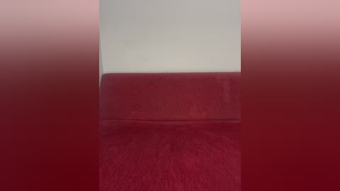 Media: Video of a red upholstered bench with a smooth, velvety texture, positioned against a plain white wall, creating a simple and minimalist interior scene.