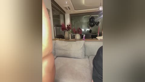 Media: Video of a modern, well-lit living room featuring a grey sectional sofa, decorative vases with red flowers, a wooden table, and a large mirror reflecting the room's ambiance.