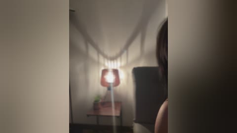 Media: Video of a dimly lit hallway with a red, cylindrical lamp casting a warm glow. The background shows a small, red-framed mirror and a wooden table with green plants. The scene is slightly blurred, creating a mysterious, almost dreamlike atmosphere.