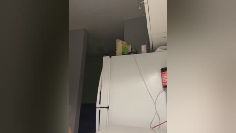 Media: Video of a dimly lit kitchen corner with a white refrigerator, a green box of cereal, and a red canister on the floor. The walls are a muted gray.