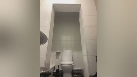 Media: Video of a modern, minimalist white-tiled bathroom with a narrow, recessed toilet in the center, flanked by two frosted glass panels. The space is clean and utilitarian, with a metallic trash can on the floor.