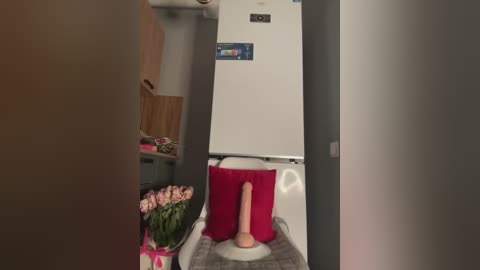 Media: A video of a quirky bathroom scene with a red toilet seat featuring a pink dildo, a flower vase, and a wooden cabinet in the background.