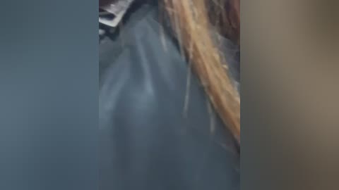 Media: A blurry video shows a person with long, light brown hair, wearing a dark grey leather jacket. The background is indistinct and out of focus.