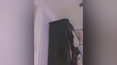 Media: Video of a dark wooden armoire with a white shirt hanging inside, against a pale wall with a small framed picture. The room's lighting is soft and diffuse.