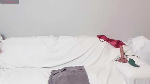 Media: A video of a minimalist bedroom with a neatly made white bed, a red shirt tossed on the pillow, and a gray towel draped over the bed's edge. The room's walls are plain white, enhancing the clean and sparse aesthetic.