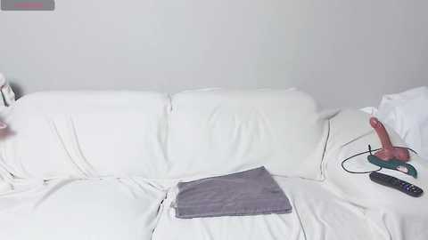 Media: Video of a white couch with a purple throw blanket, a pink dildo, and a remote control on a white cushion.