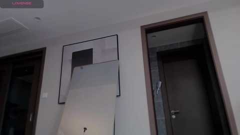 Media: Video of a modern hotel room with a partially opened sliding door revealing a rectangular mirror. The door has a silver handle, and the room has beige walls.