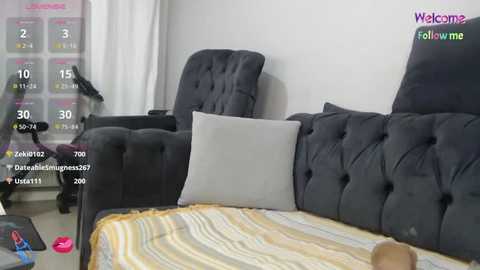 Media: A video captures a modern, dark gray tufted sofa with a yellow and white striped blanket in a cozy living room. A white pillow rests on the sofa.