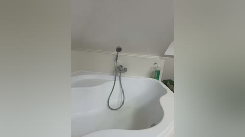 Media: A video of a minimalist, white bathtub with a sleek, chrome handheld showerhead mounted on the wall, set in a modern bathroom with a white ceiling and faint greenery visible in the background.