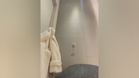 Media: A video of a beige robe hanging on a door handle in a dimly lit bathroom. The background features a stainless steel showerhead and a dark gray towel.