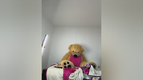 Media: A video of a plush yellow dog toy wearing a pink shirt, sitting on a messy bed with scattered clothes and a blanket, in a dimly lit, small, white-walled room.