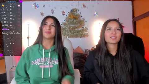 Media: Video of two women with long black hair, one wearing a green hoodie, the other a black sweater, seated in a cozy room with a Christmas tree and festive decor.