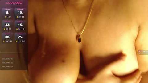 Media: Video of a topless woman with light skin, medium-sized breasts, holding them, wearing a gold necklace with a small pendant. Background shows a dimly lit room with a virtual reality interface overlay.