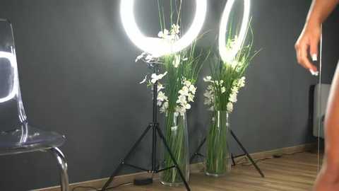 Media: Video of three large, illuminated ring lights with white flowers on black stands in a modern studio with a dark gray wall, a transparent chair, and a person in a striped shirt.