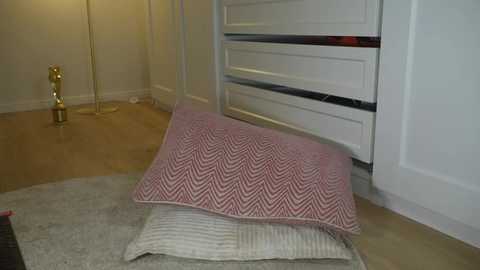 Media: Video of a neatly arranged living room with a white radiator, a beige and red-patterned pillow, a beige blanket, and a gold floor lamp.