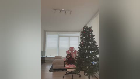 Media: Video of a minimalist living room with a pink and white Christmas tree, a plush toy, and a pink blanket on a sofa, lit by natural light from large windows.