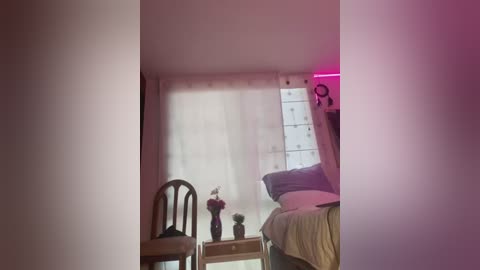 Media: A dimly-lit video of a minimalist bedroom with a single bed, a chair, a potted plant, and sheer curtains. Pink light casts a soft glow.