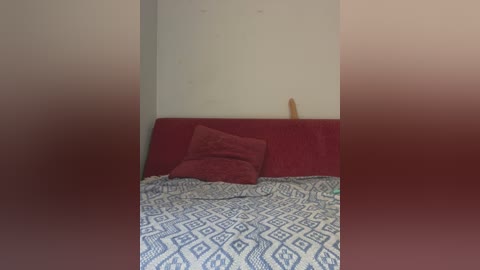 Video of a simple bedroom corner with a red headboard, a red pillow, and a patterned blue and white bedspread. The background is plain white, with a wooden stick leaning against the wall.