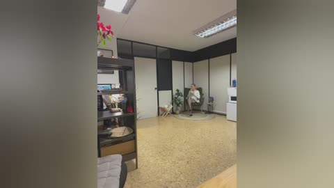 Media: Video of a modern office with beige carpet, black-framed glass walls, potted plants, a wooden bookshelf, and a person sitting in a chair.