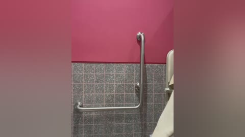 Media: Video of a bathroom with a bright red wall, grey tile floor, and a silver grab bar attached to a beige toilet. The image is a close-up, focusing on the accessible features.