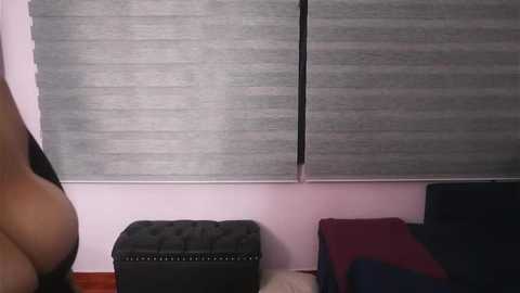 Media: Video of a minimalist bedroom with gray blinds partially covering a window, a black leather ottoman with nailhead trim, and a dark bed with red and black pillows.