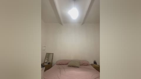 Media: Video of a minimalist, sparsely furnished bedroom with a single bed covered in pink sheets, a single pillow, and a beige cushion. White walls and a ceiling light are the only features.