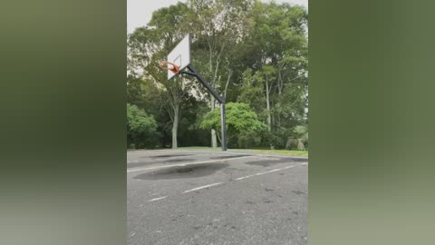 Media: Video of a basketball player in motion, mid-air dunk, wearing black shorts and a red jersey, on a court surrounded by dense green trees.