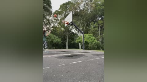 Media: Video of a basketball player in motion, mid-air, shooting a ball towards a hoop in a lush, green park. The player wears a teal shirt and black shorts, with trees and bushes in the background.