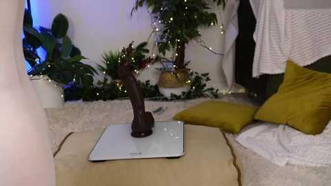 Video of a cozy, whimsical bedroom with a large, dark, realistic horse dildo on a digital scale, surrounded by green plants, white curtains, and yellow pillows.