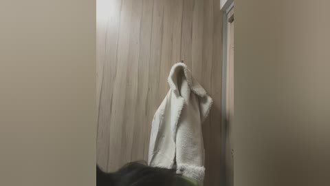 Media: Video of a fluffy white bathrobe hanging on a wooden door, partially concealing a person. The background features beige walls and a black cat visible in the foreground.