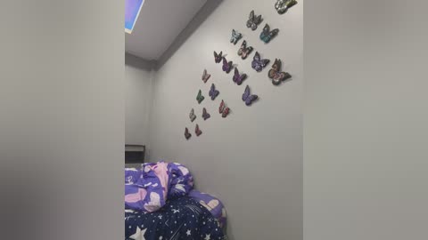 Media: A video of a small, neatly organized bedroom with a bed covered in a purple and blue star-patterned comforter. The wall features a decorative butterfly display and a skylight.