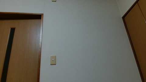 Media: A video of a minimalist hallway interior with smooth, light beige walls, a wooden door with a narrow vertical window, and a simple, cream-colored light switch mounted on the wall. The scene is bright and clean, emphasizing modern simplicity.