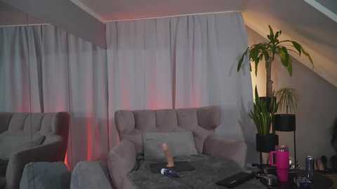 Media: Video of a modern living room with a grey sectional sofa, white curtains, a potted plant, and a glass coffee table with a dildo and toys.